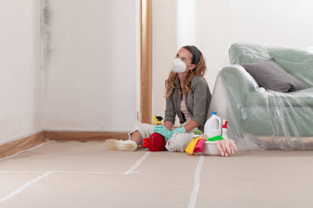 Reliable Mold Remediation contractor in Windsor, NJ by Mold Remediation HQ